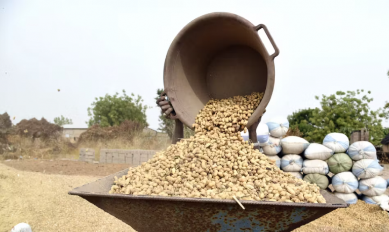 image_2026-01-08_140027511